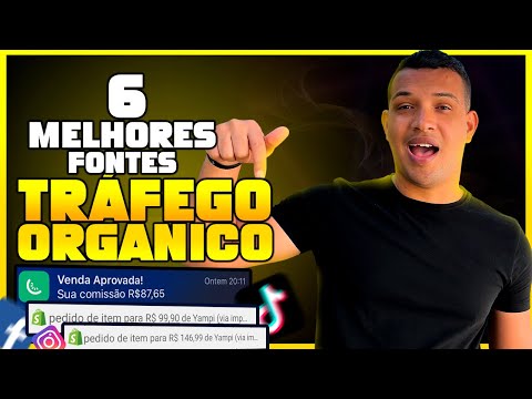 6 MELHORES FONTES DE TRAFÉGO ORGANICA PARA VENDER  NO DROPSHIPPING SHOPIFY 2022