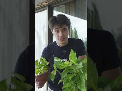 Você está no ambiente certo?